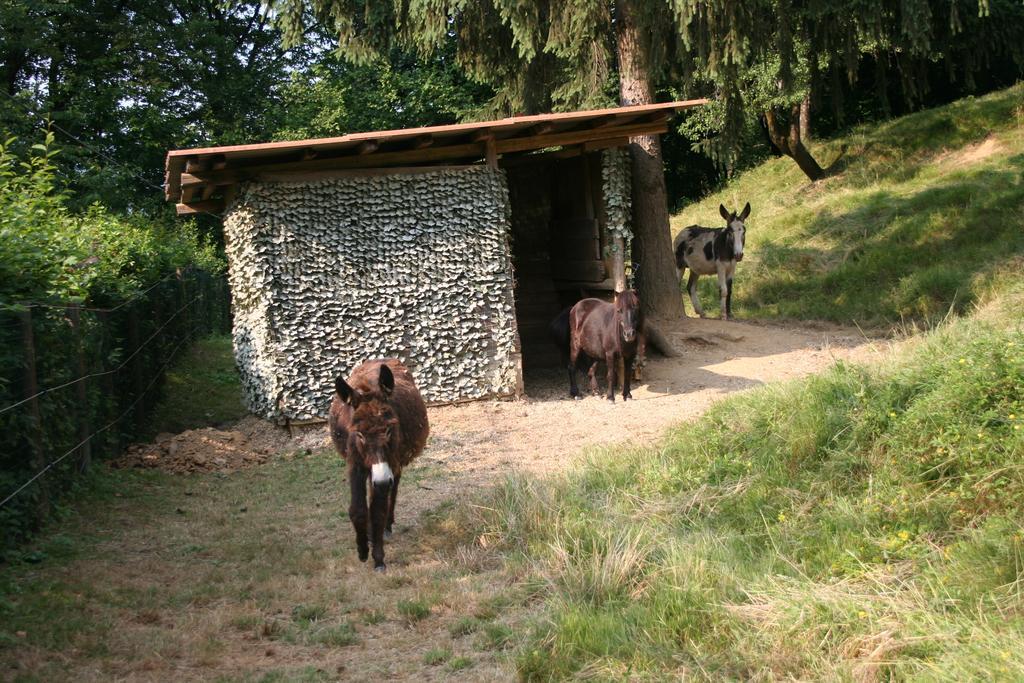 B&B La Casa Di Campagna Bergamo Ngoại thất bức ảnh