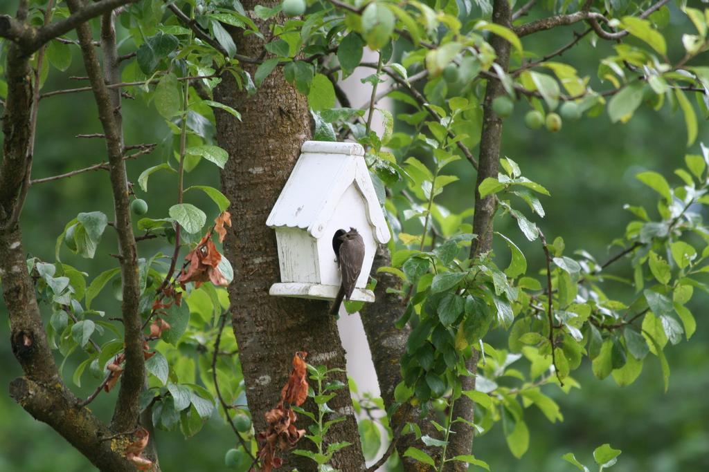 B&B La Casa Di Campagna Bergamo Ngoại thất bức ảnh