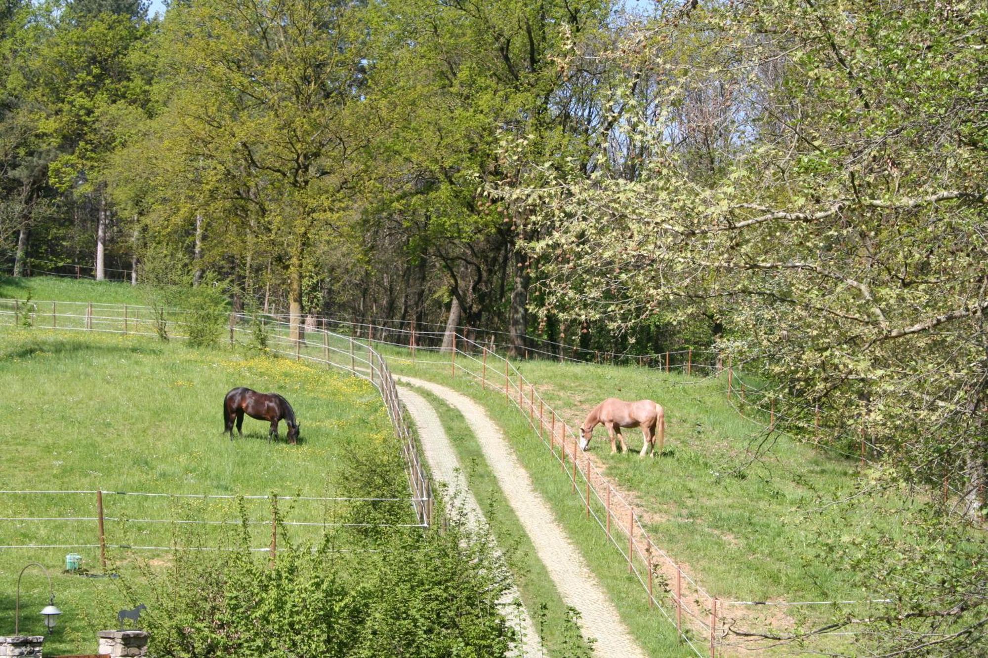 B&B La Casa Di Campagna Bergamo Ngoại thất bức ảnh